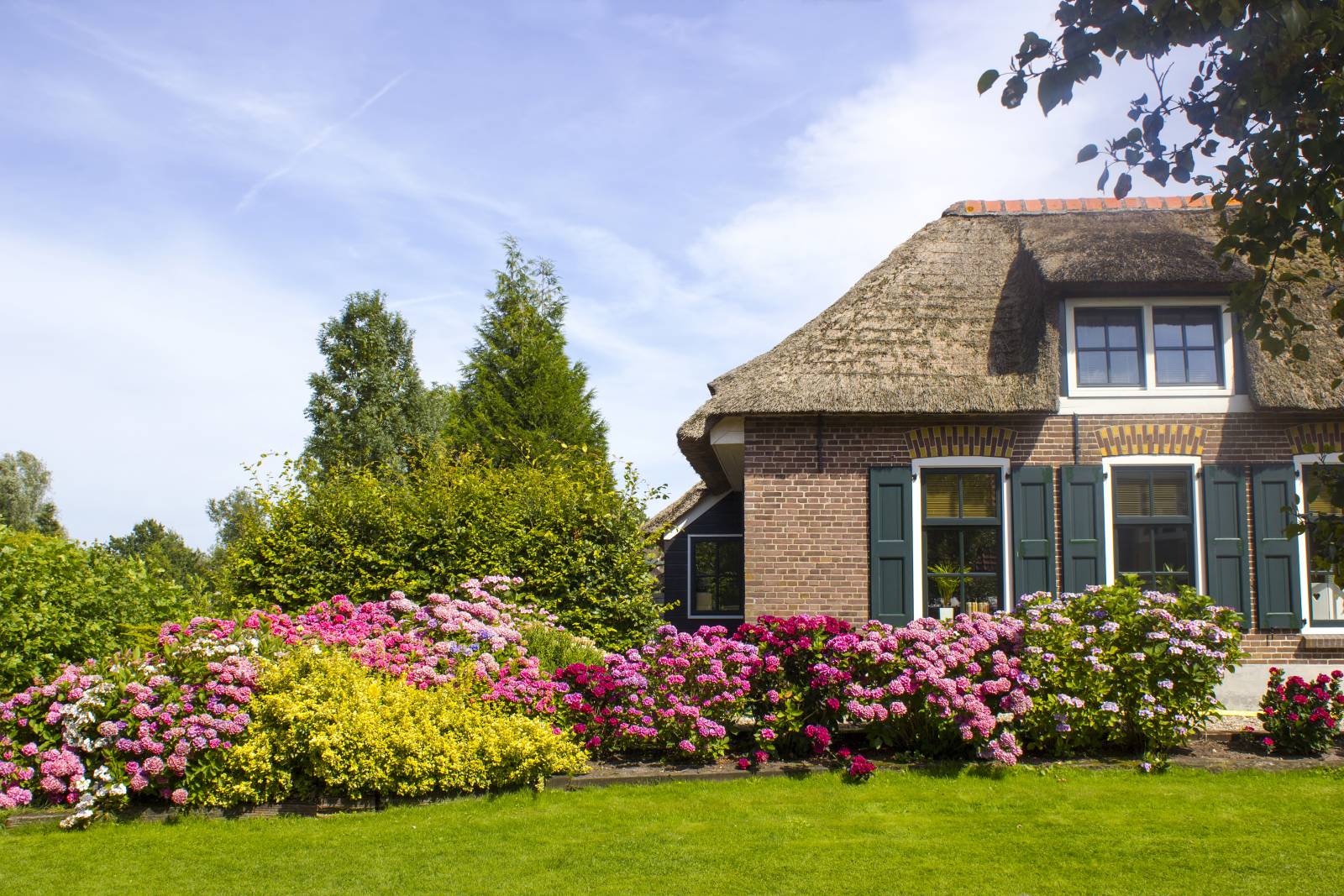 tuin-05